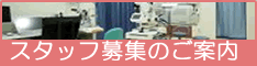 スタッフ募集